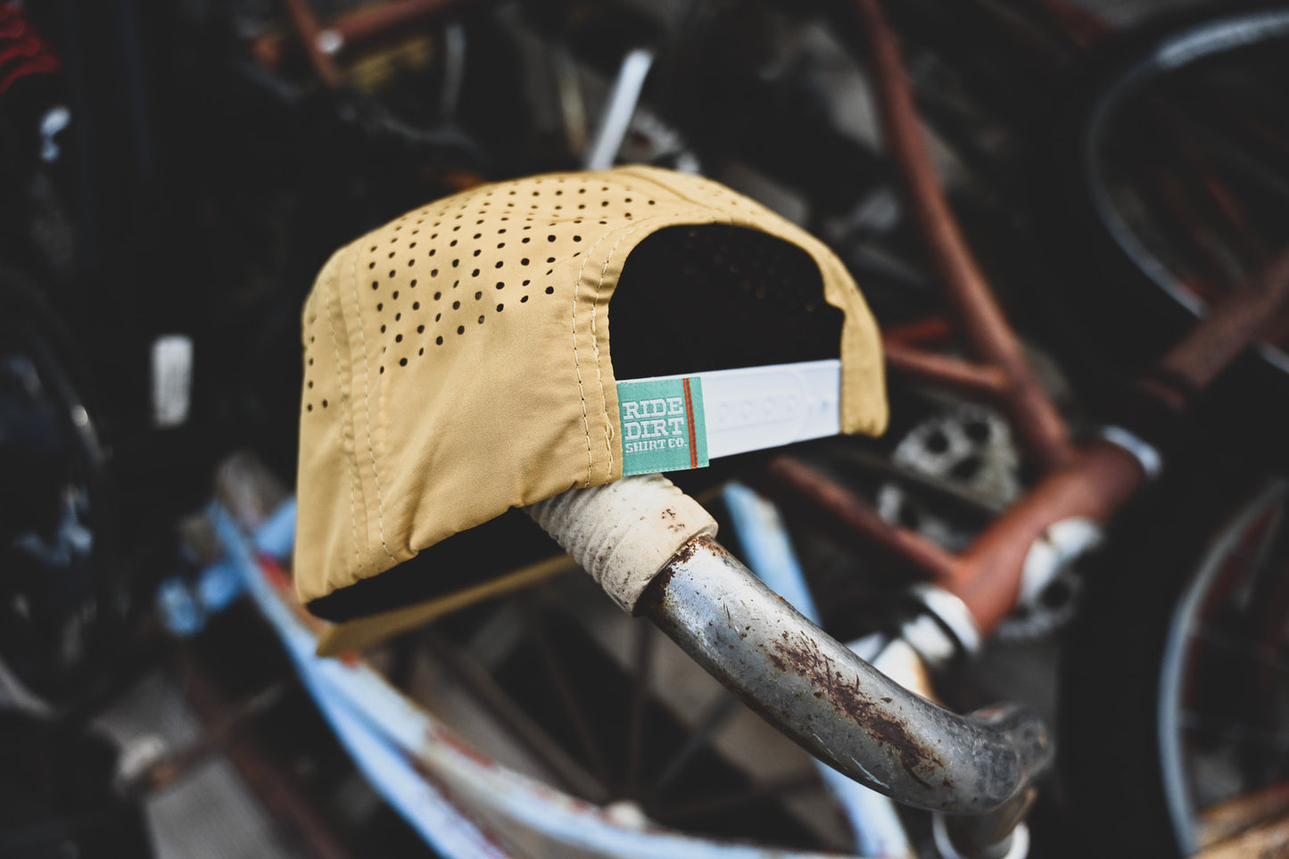 "Cruisin Cacti" Hat by RDSCo