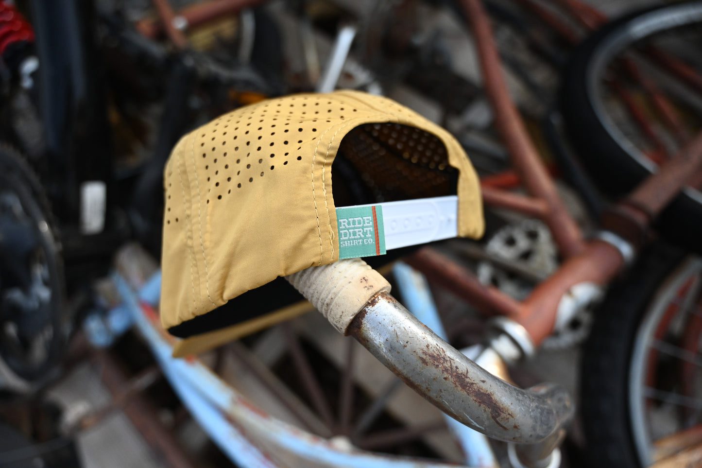 "Cruisin Cacti" Hat by RDSCo